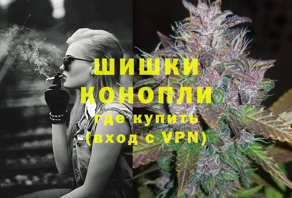 крисы Мегион