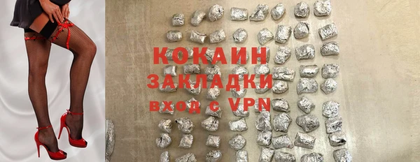 крисы Мегион