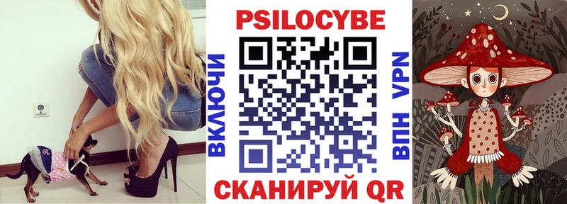 как найти закладки  Москва  это какой сайт  Галлюциногенные грибы GOLDEN TEACHER 